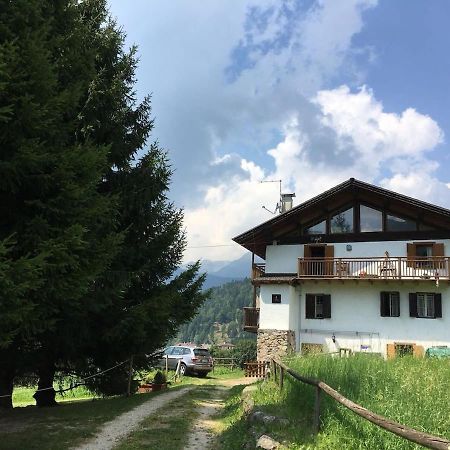 Casa Bernard Zortea Vanoi Cuore Verde Del Trentino カナール・サン・ボーヴォ エクステリア 写真