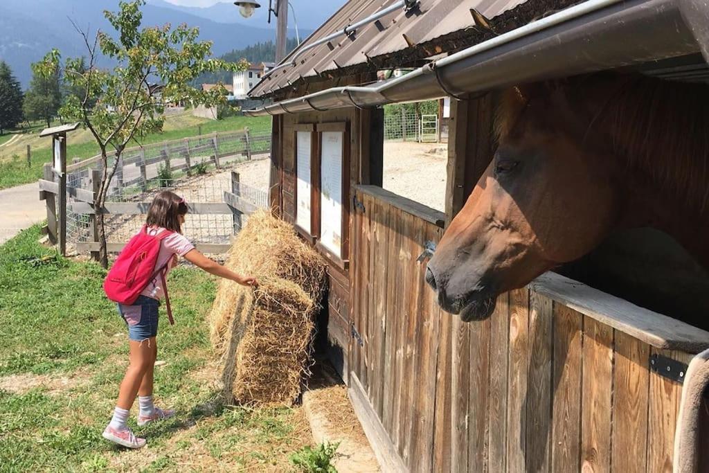 Casa Bernard Zortea Vanoi Cuore Verde Del Trentino カナール・サン・ボーヴォ エクステリア 写真