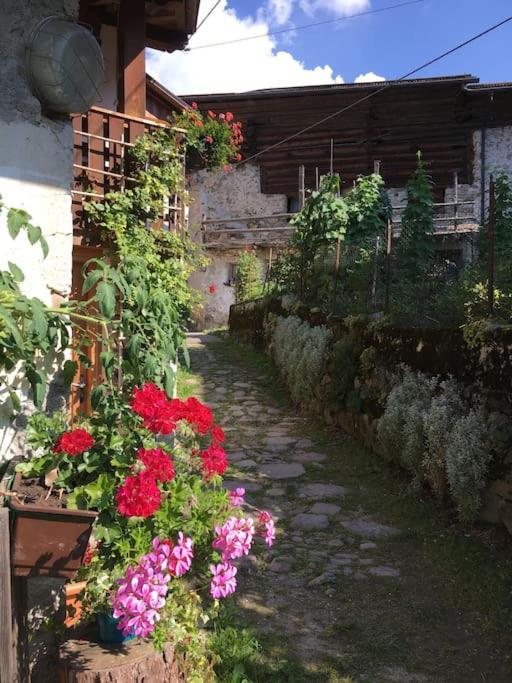 Casa Bernard Zortea Vanoi Cuore Verde Del Trentino カナール・サン・ボーヴォ エクステリア 写真