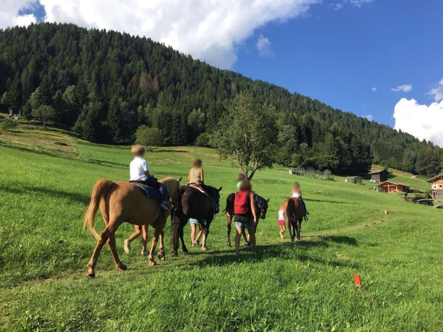 Casa Bernard Zortea Vanoi Cuore Verde Del Trentino カナール・サン・ボーヴォ エクステリア 写真