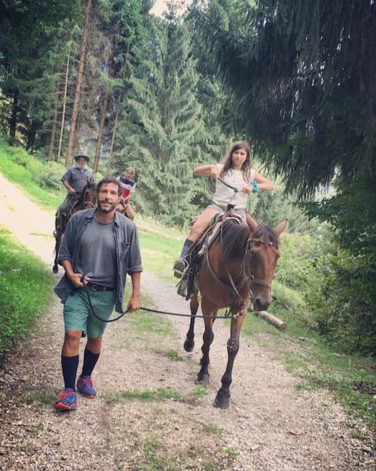 Casa Bernard Zortea Vanoi Cuore Verde Del Trentino カナール・サン・ボーヴォ エクステリア 写真