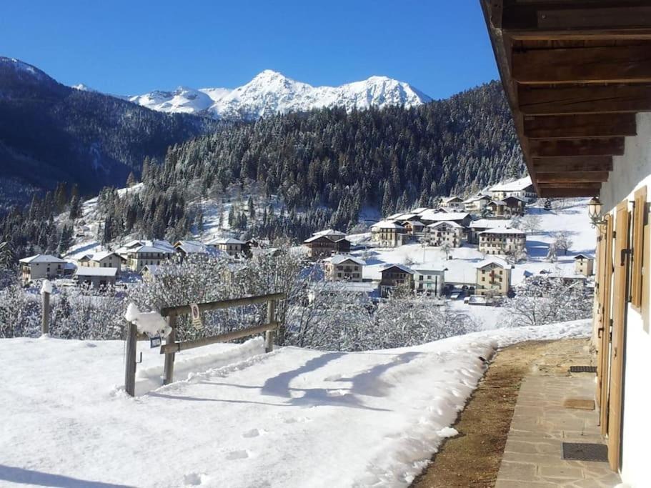 Casa Bernard Zortea Vanoi Cuore Verde Del Trentino カナール・サン・ボーヴォ エクステリア 写真